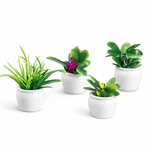 Plant Set